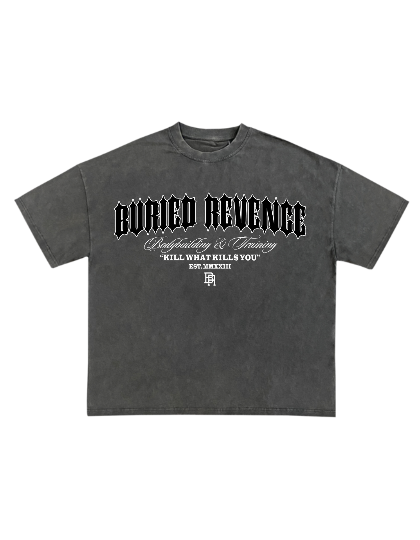 IRON FAMILY TEE - VINTAGE GRAY